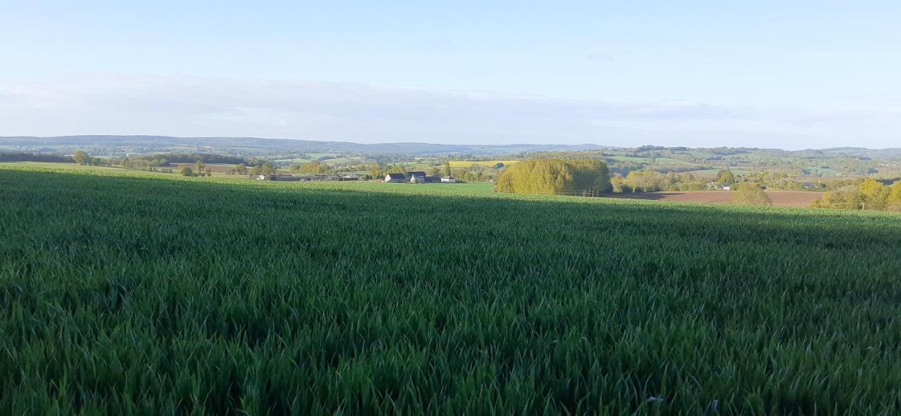 Private Farmhouse For Six In The Countryside Saint-Pierre-sur-Orthe Exteriör bild