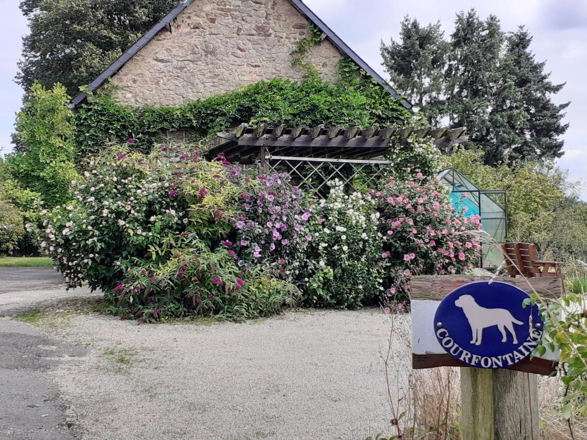 Private Farmhouse For Six In The Countryside Saint-Pierre-sur-Orthe Exteriör bild